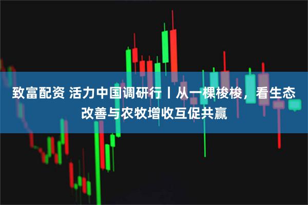 致富配资 活力中国调研行丨从一棵梭梭，看生态改善与农牧增收互促共赢