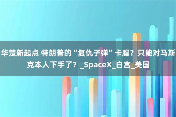 华楚新起点 特朗普的“复仇子弹”卡膛？只能对马斯克本人下手了？_SpaceX_白宫_美国